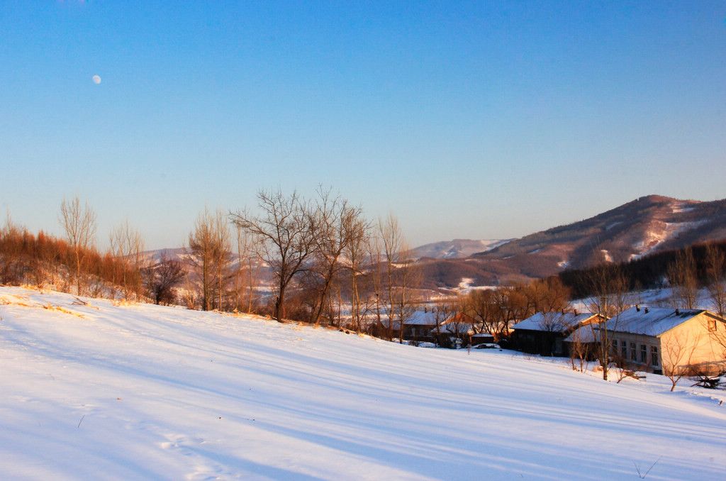 _MG_8214.jpg