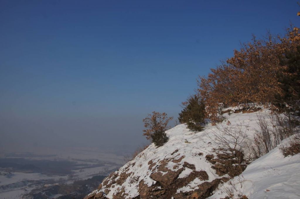 DSC04554.JPG
