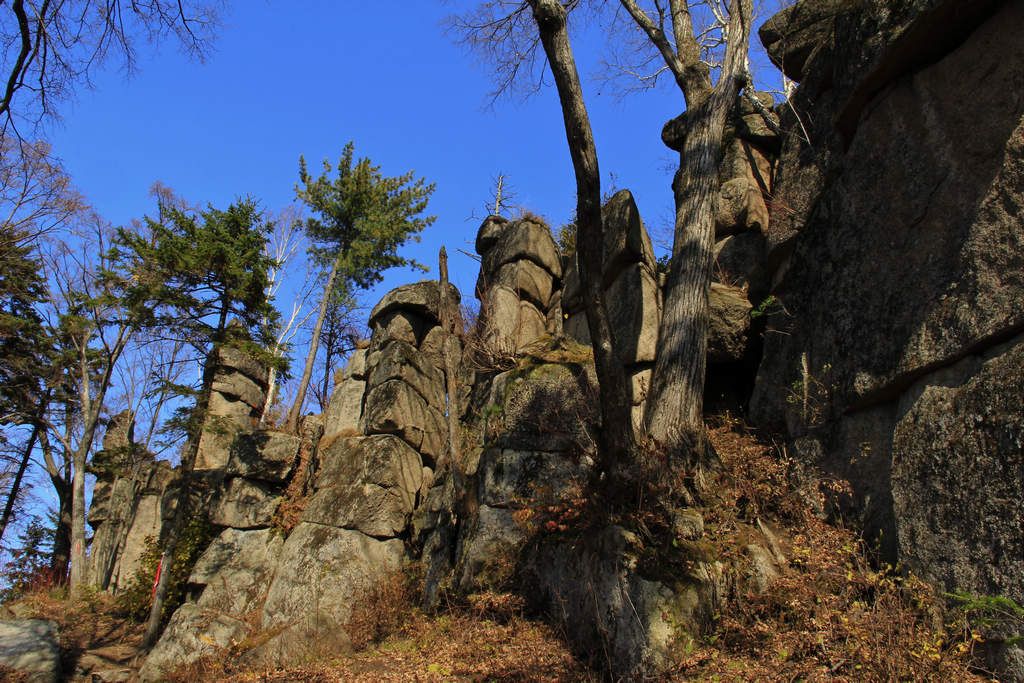 _MG_7836_1.JPG