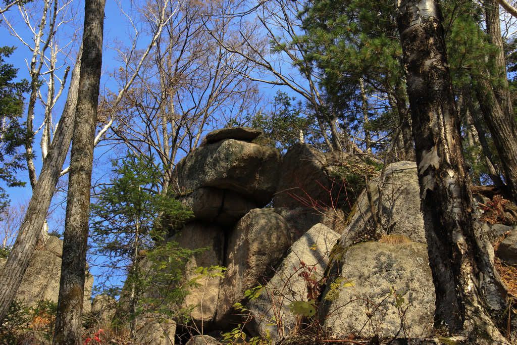 _MG_7814_1.JPG