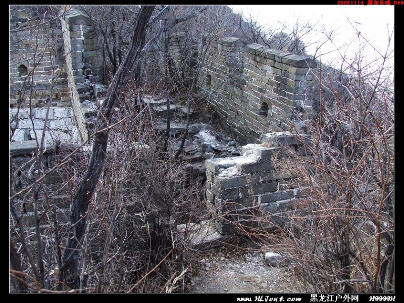 20081114_���۳���_066.jpg
