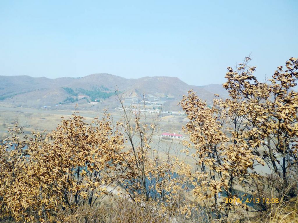 P1050305.jpg