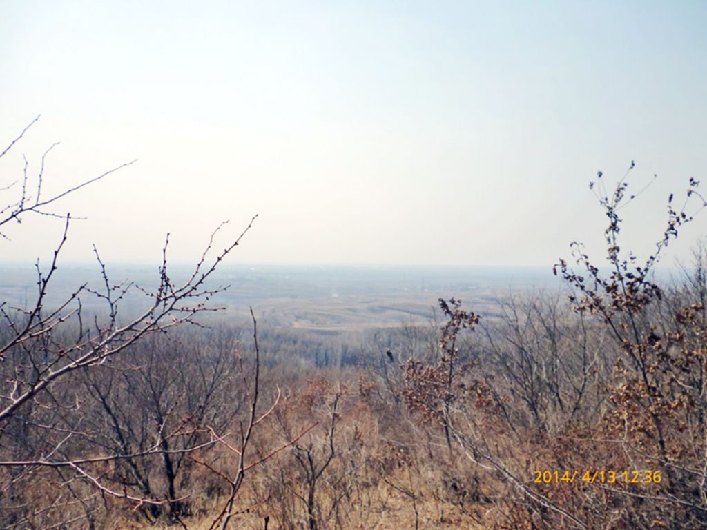 P1050307.jpg