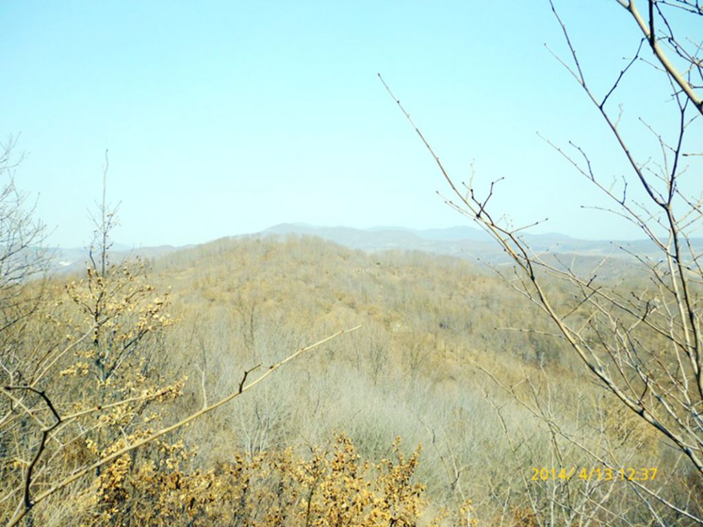 P1050308.jpg