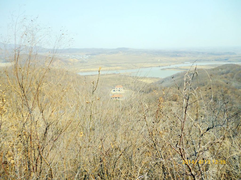P1050309.jpg