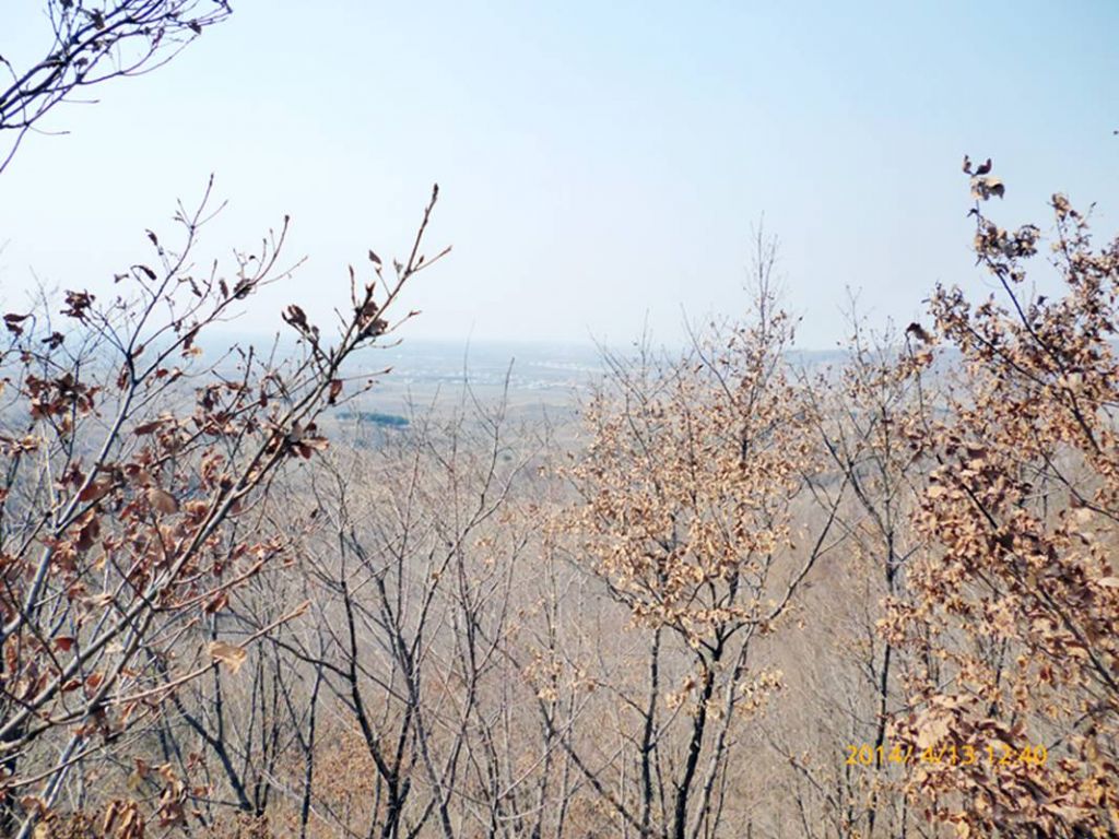 P1050315.jpg