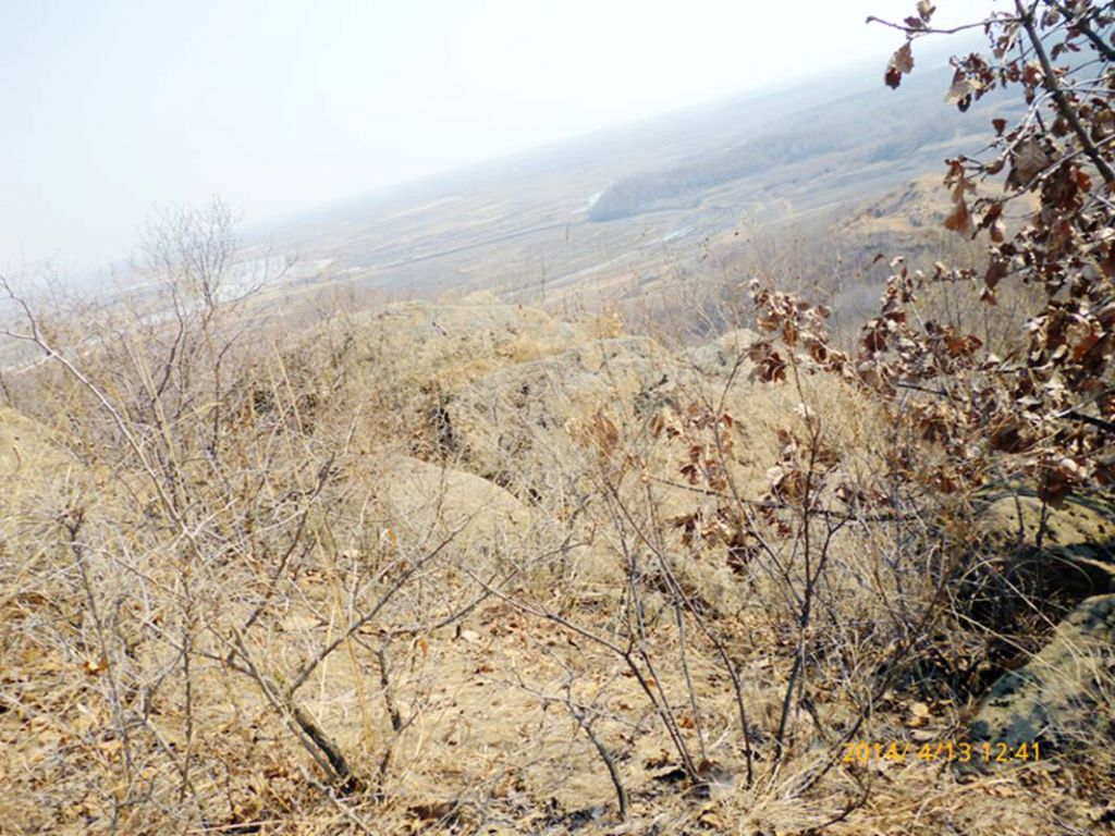 P1050316.jpg