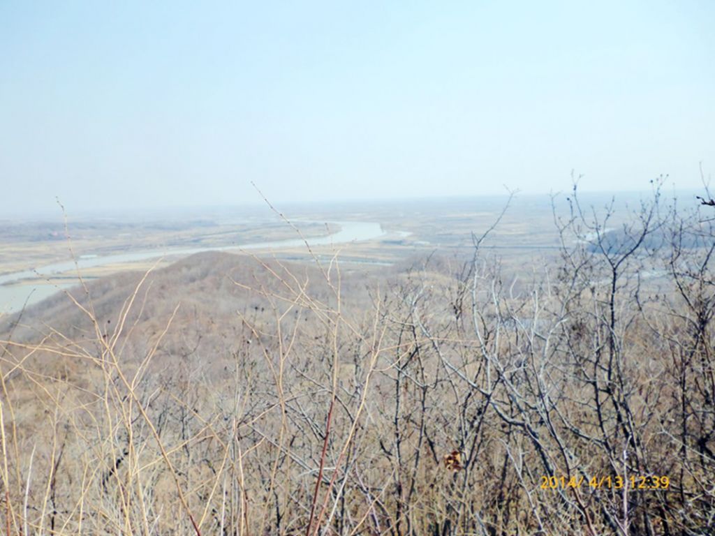 P1050310.jpg