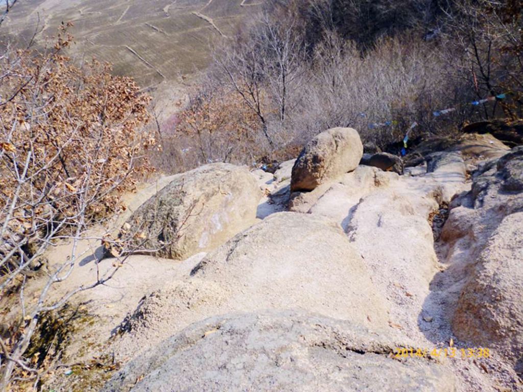 P1050334.jpg