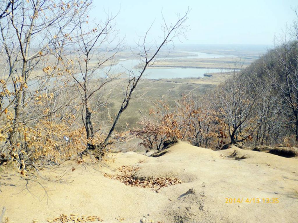 P1050330.jpg