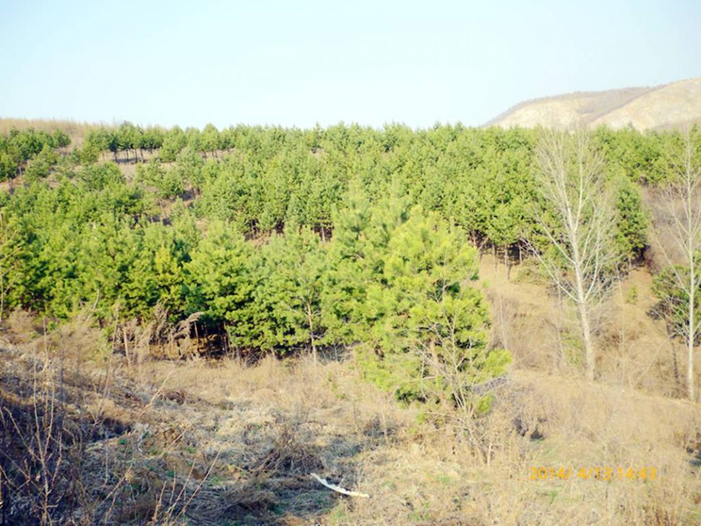 P1050349.jpg