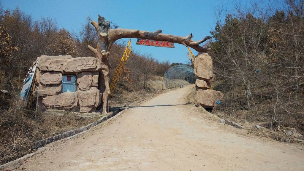 105.jpg