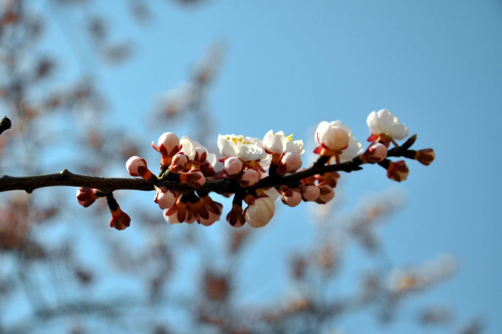 DSC_0095.JPG