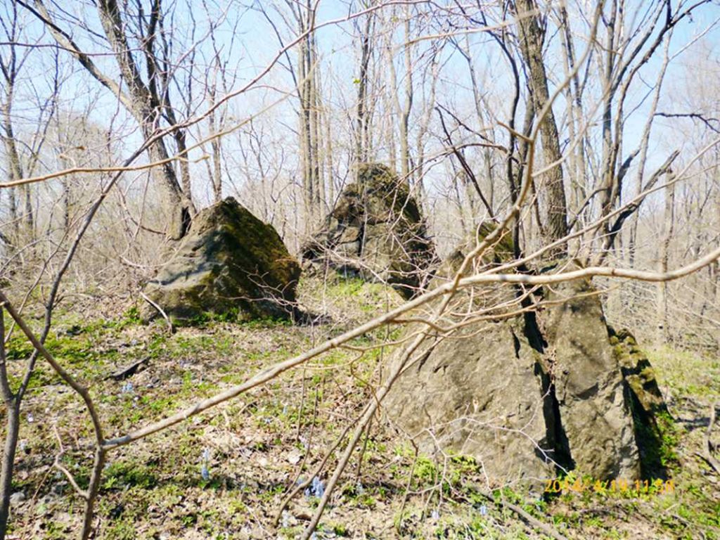 P1050374.jpg