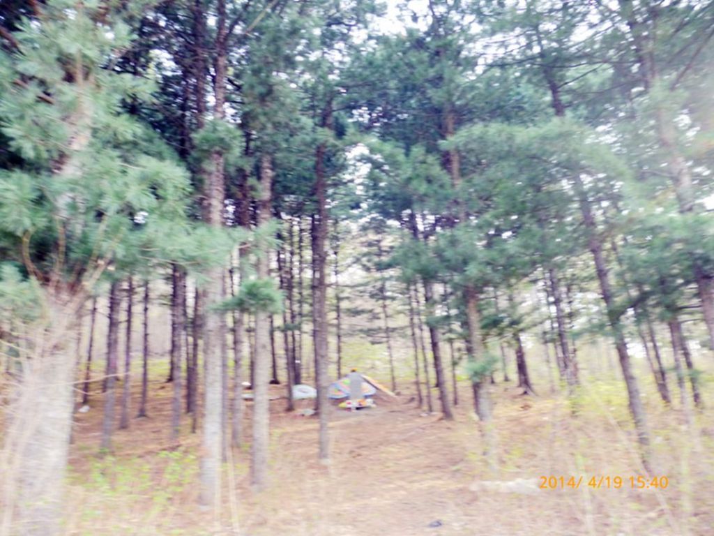 P1050413.jpg
