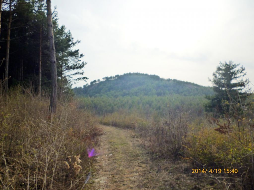 P1050415.jpg
