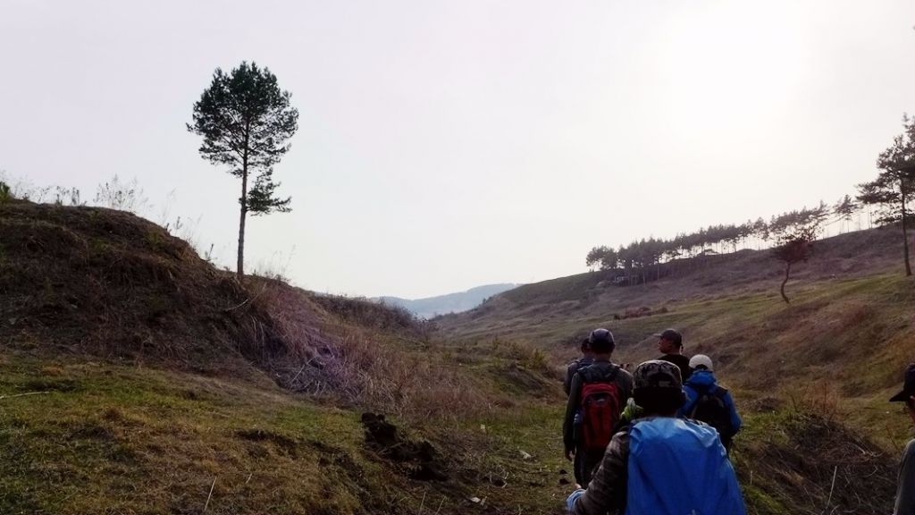 P1020469.JPG