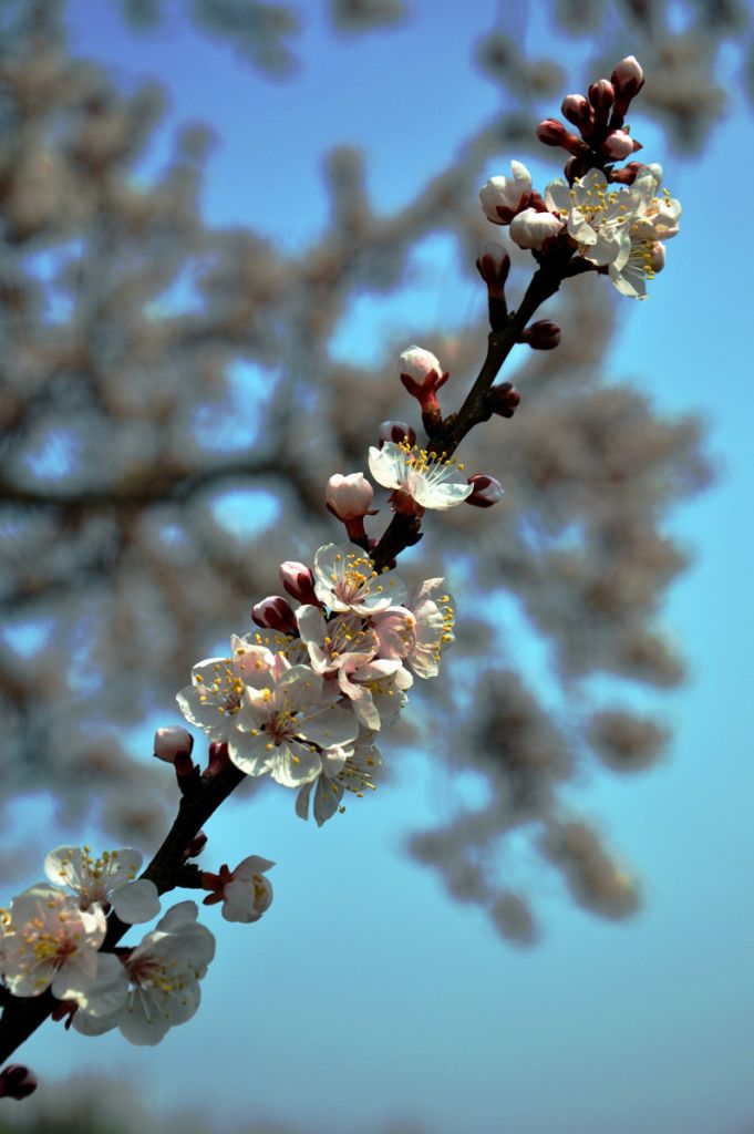 DSC_0020_����.JPG