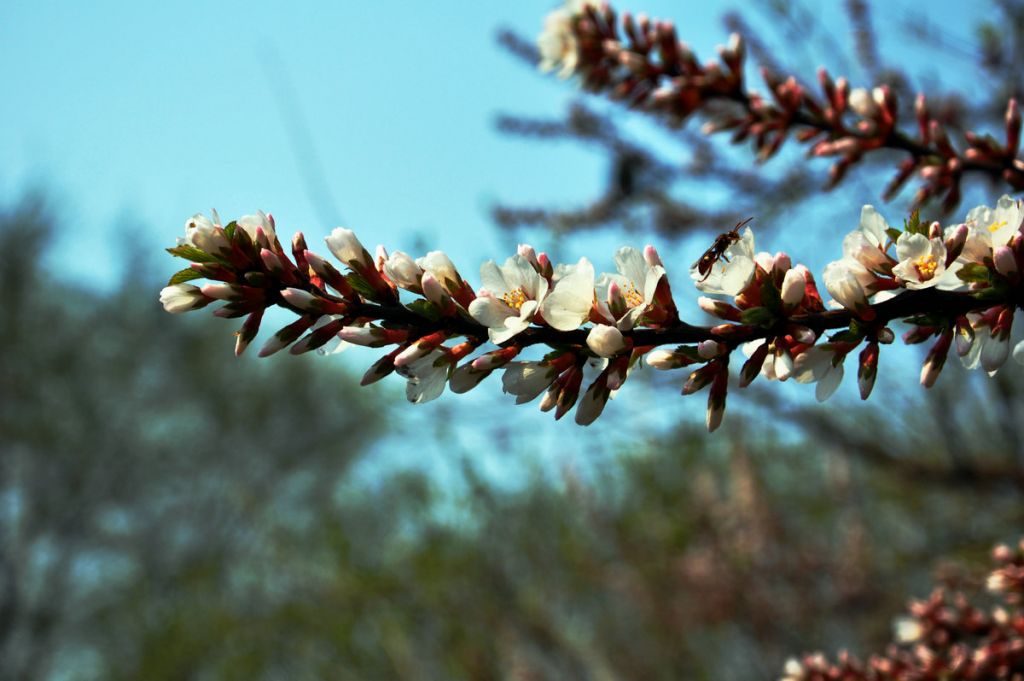 DSC_0036.JPG