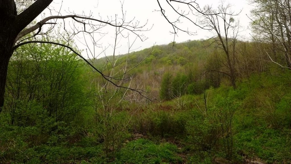 P1020482.JPG