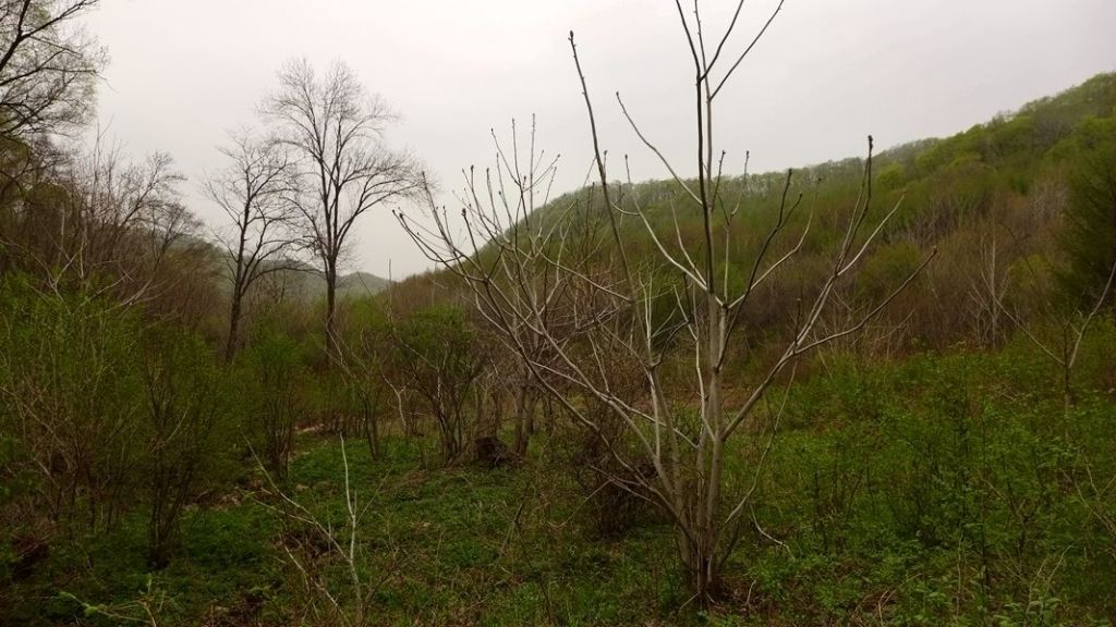 P1020483.JPG