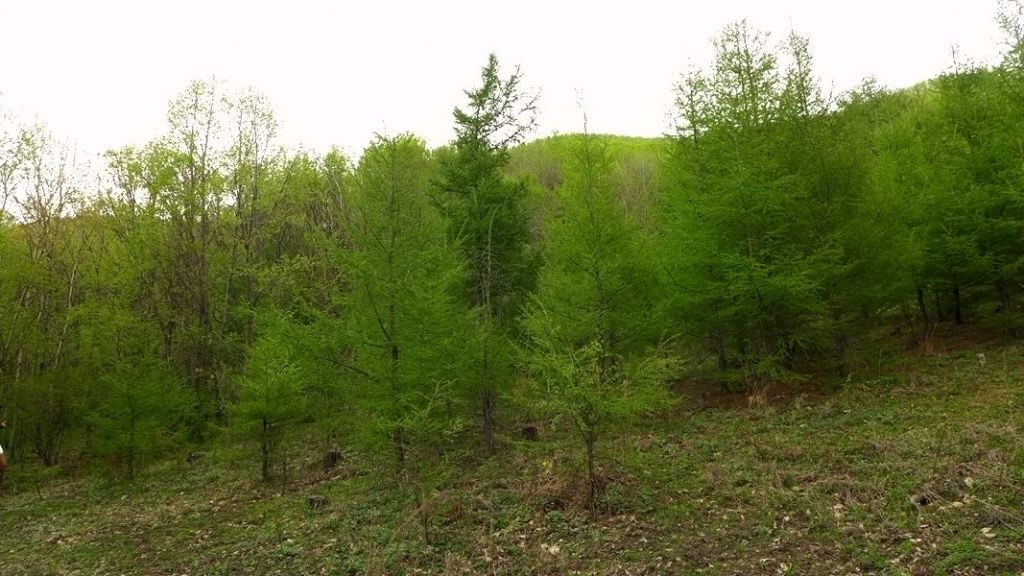 P1020564.JPG
