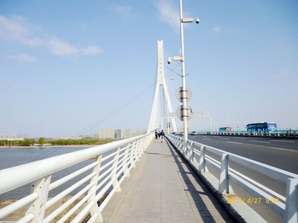 P1050427.jpg