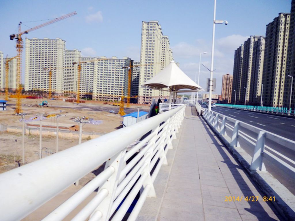 P1050431.jpg