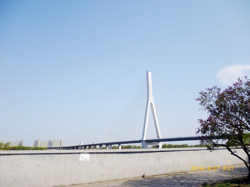 P1050422.jpg