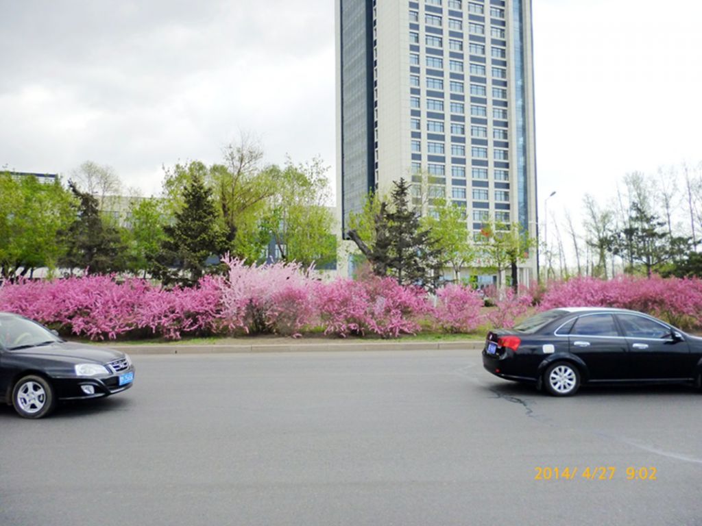 P1050436.jpg