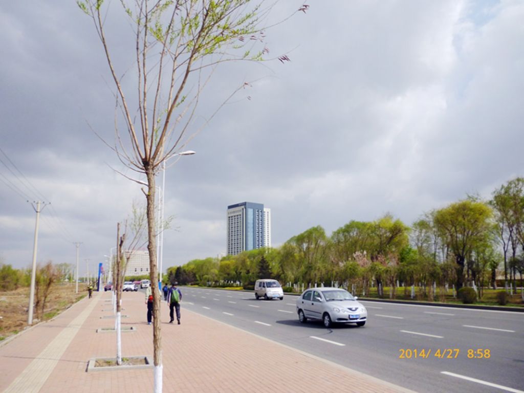 P1050435.jpg