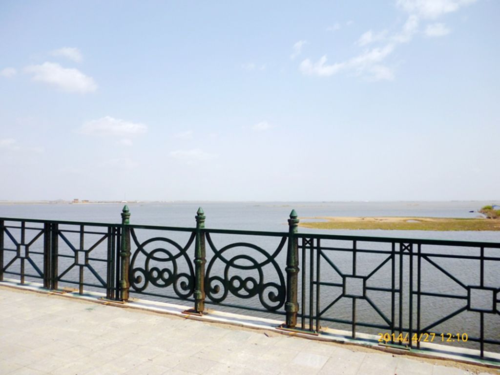 P1050476.jpg