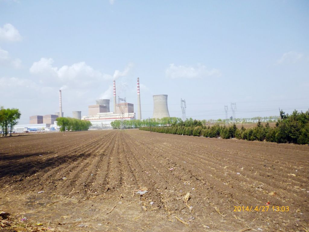 P1050491.jpg