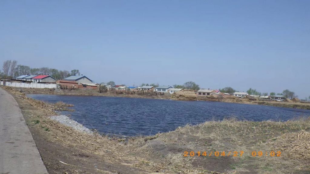 050.jpg