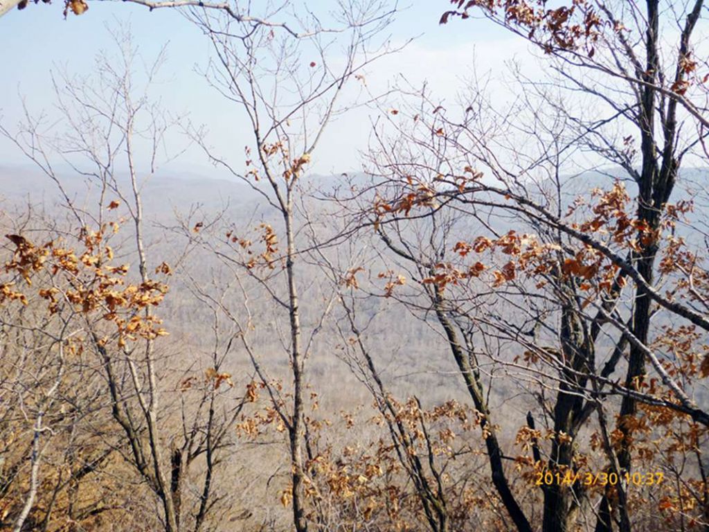 P1050085.jpg