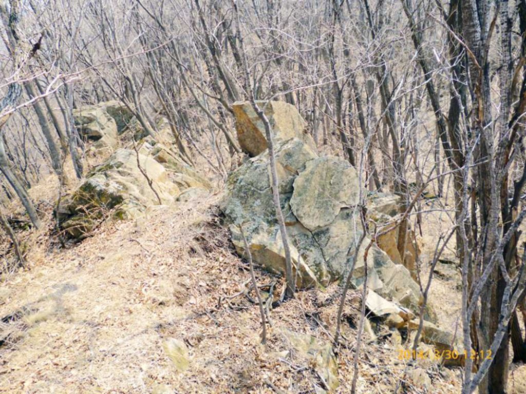 P1050123.jpg