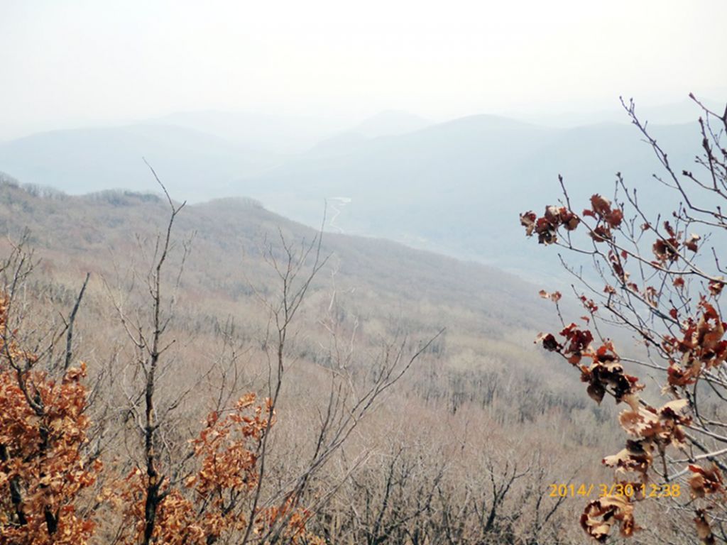P1050139.jpg