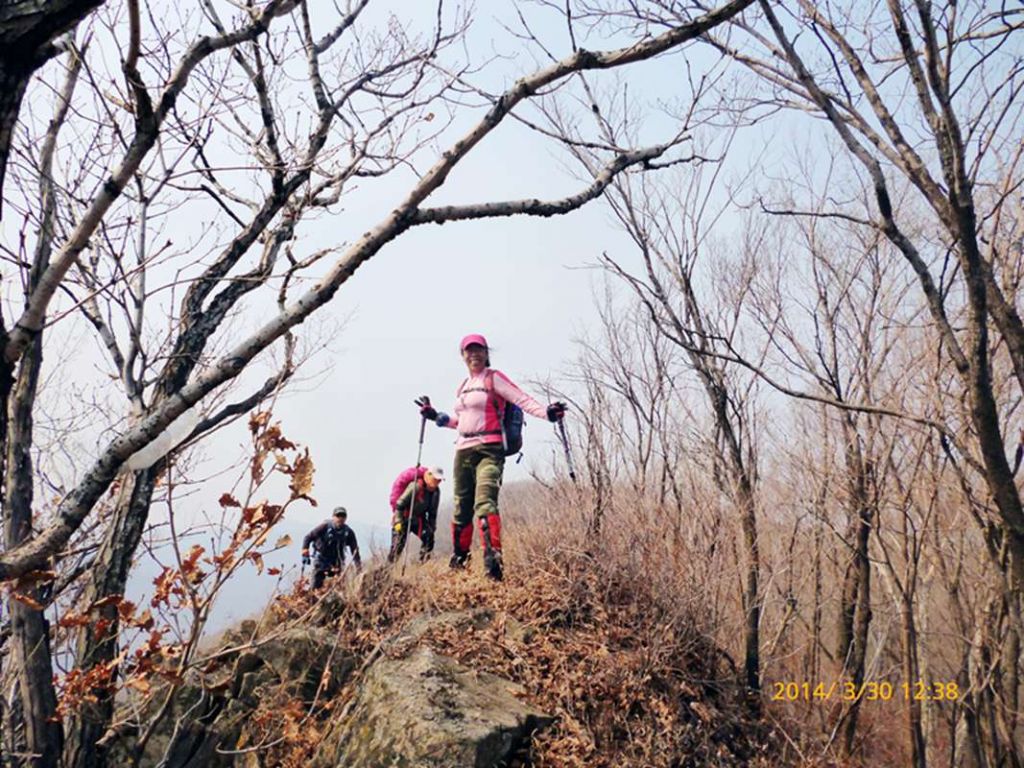 P1050140.jpg