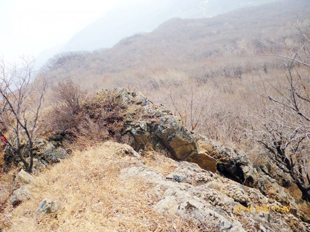 P1050148.jpg