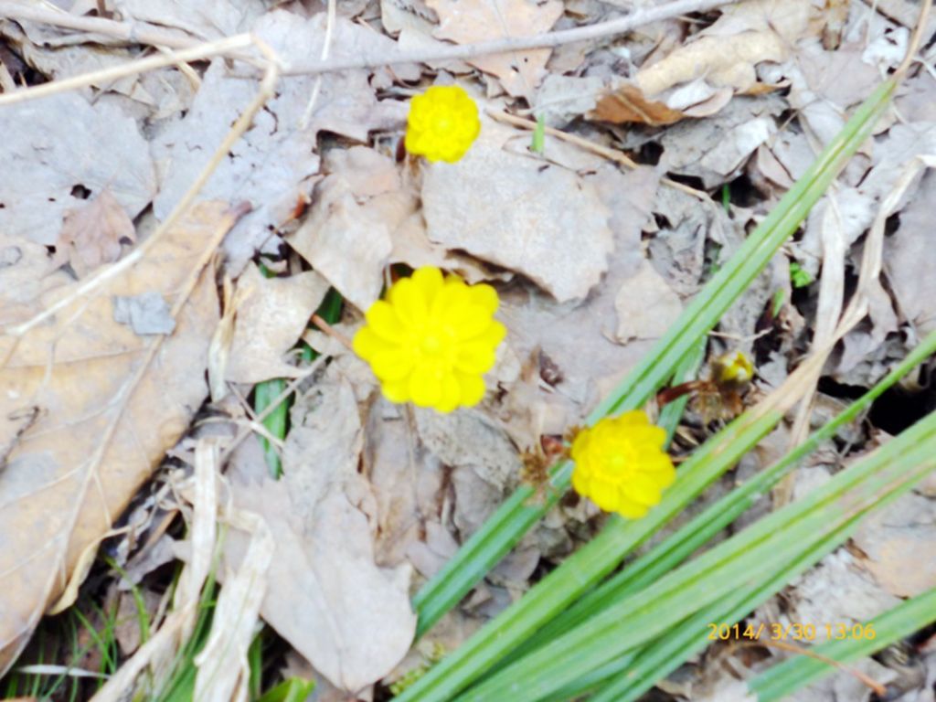 P1050159.jpg