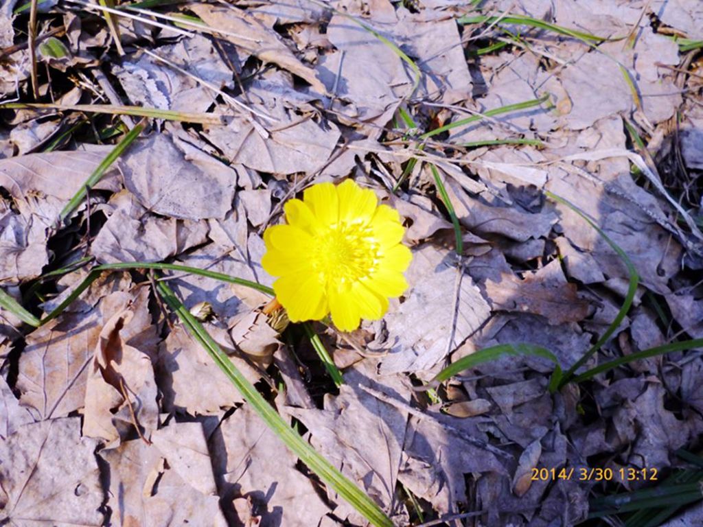P1050161.jpg
