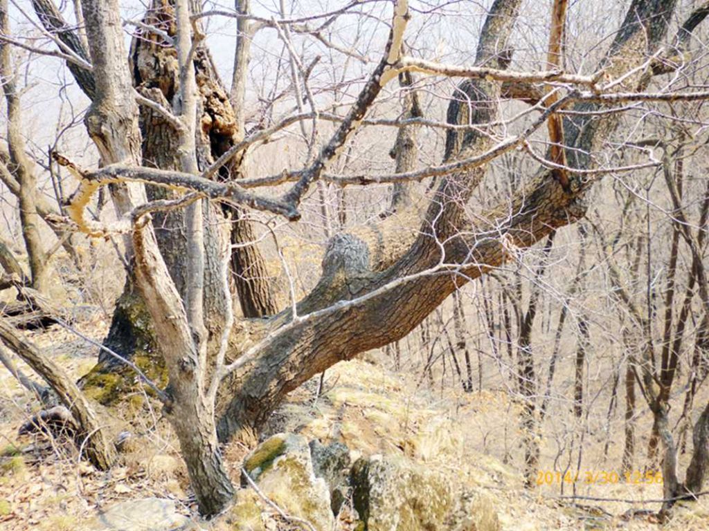 P1050155.jpg