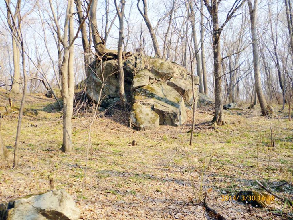 P1050167.jpg