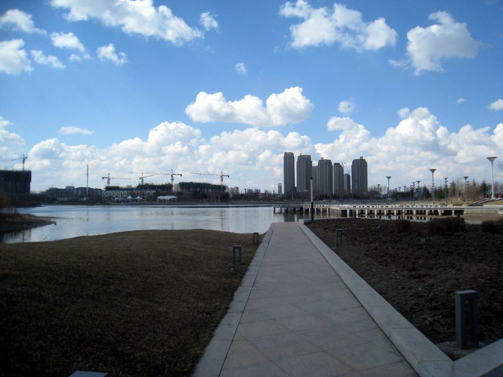 IMG_8955.JPG