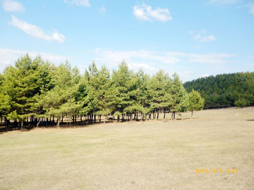 P1050185.jpg