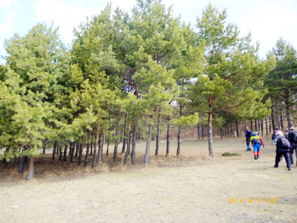 P1050187.jpg