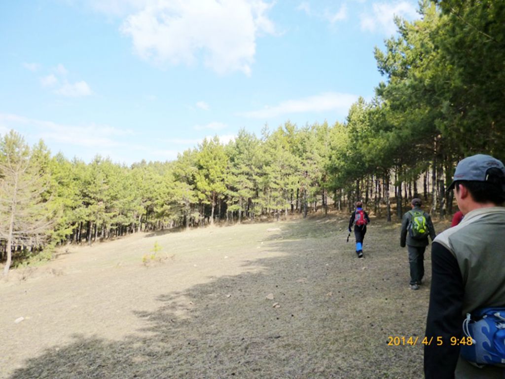 P1050188.jpg