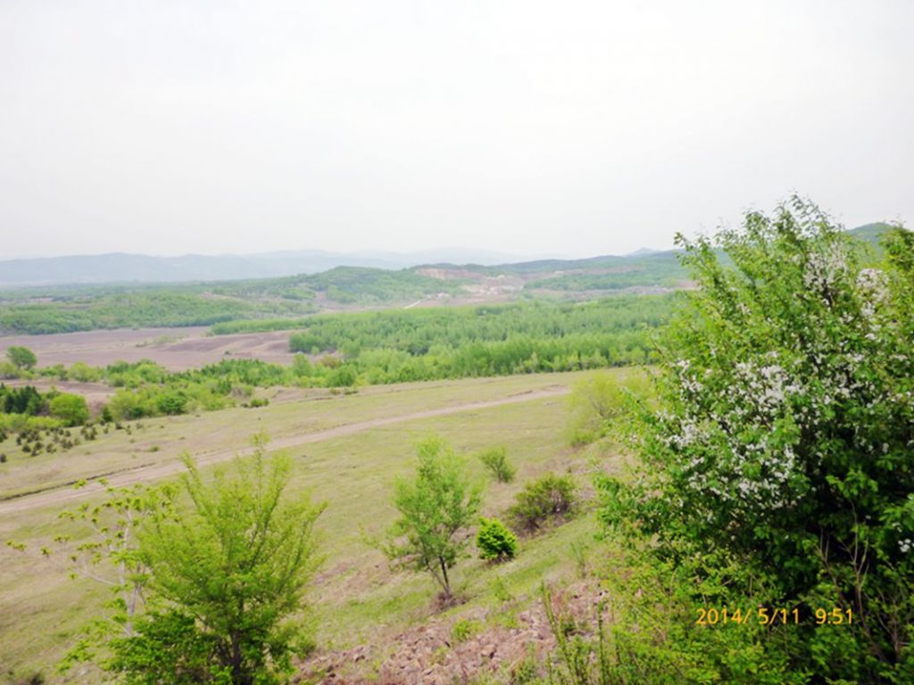 P1050520.jpg