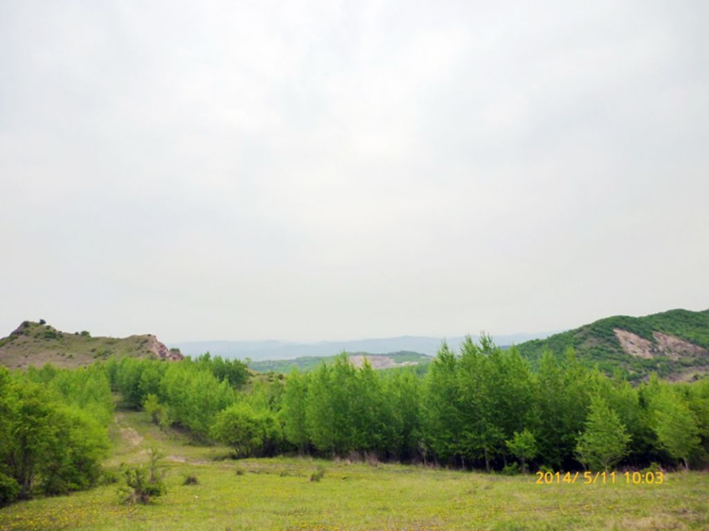 P1050525.jpg
