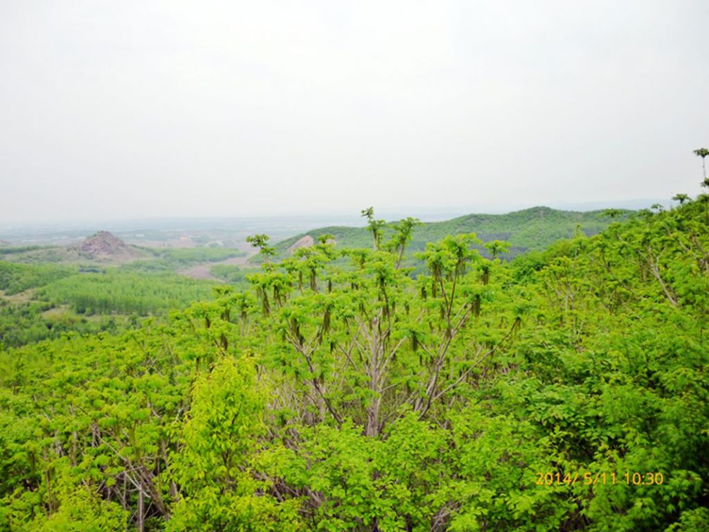 P1050536.jpg